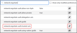 FirefoxIssue-SearchNetworkNegotiate.png