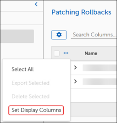 OSP_Exp-Wizard-ObjectCustomDisplayColumns.png