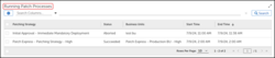 OSP-Ent-CycleOps-PatchingCycleHistoryViewCompletedProcess.png