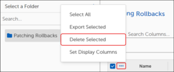 OSP-Ent-FlexControl-Rollbacks-DeleteSelected.png